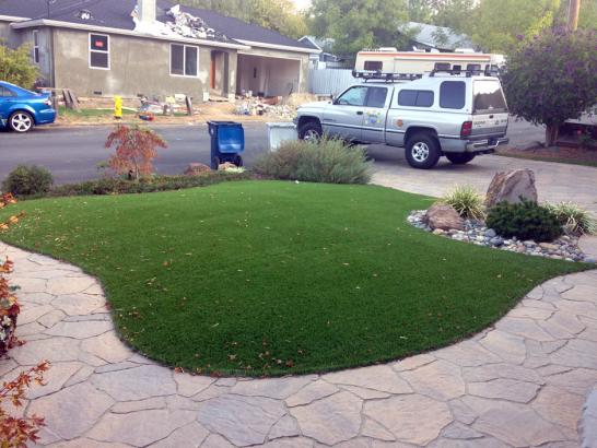 Artificial Grass Photos: Synthetic Turf South San Jose Hills California  Landscape