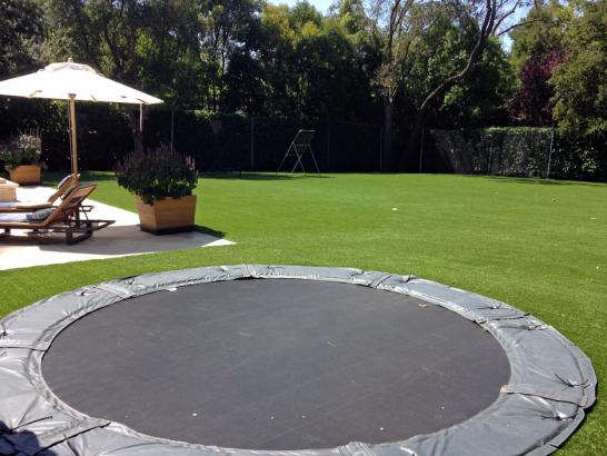 Artificial Grass Photos: Fake Turf Stadium Belvedere California  Swimming Pools Backyard