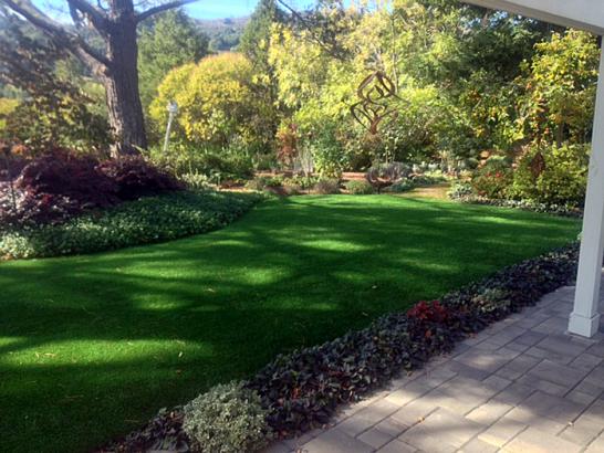 Artificial Grass Photos: Fake Turf Glendora California Lawn  Backyard