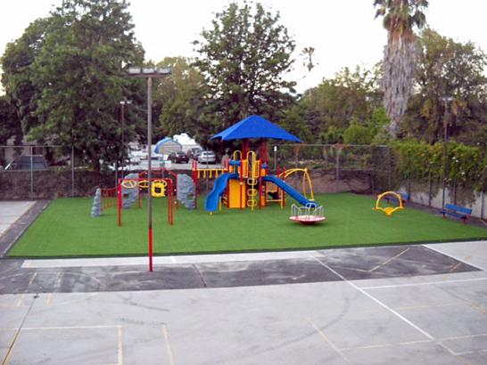Artificial Grass Photos: Artificial Turf Glendale California  Kids Safe  Landscape