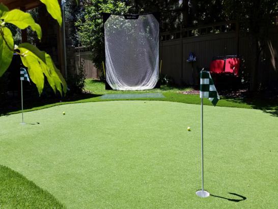 Artificial Grass Photos: Putting Greens West Covina California Fake Grass  Backyard