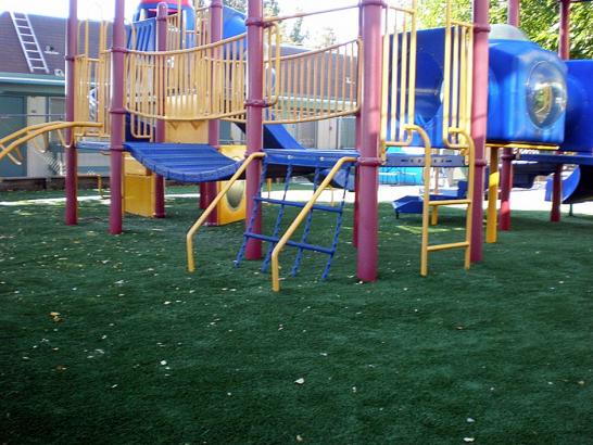 Artificial Grass Photos: Fake Grass Ladera Heights California  Kids Safe  Landscape