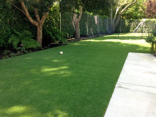 Artificial Grass Photos: Fake Pet Grass Universal City California for Dogs