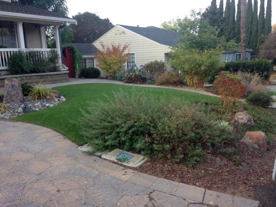 Artificial Grass Photos: Synthetic Grass Rossmoor California  Landscape  Front Yard