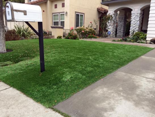 Artificial Grass Photos: Synthetic Grass Palmdale California  Landscape  Front Yard