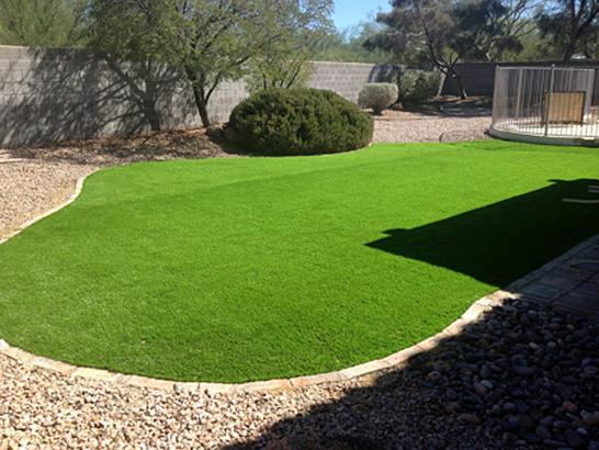 Artificial Grass Photos: Synthetic Grass Azusa California Lawn  Backyard