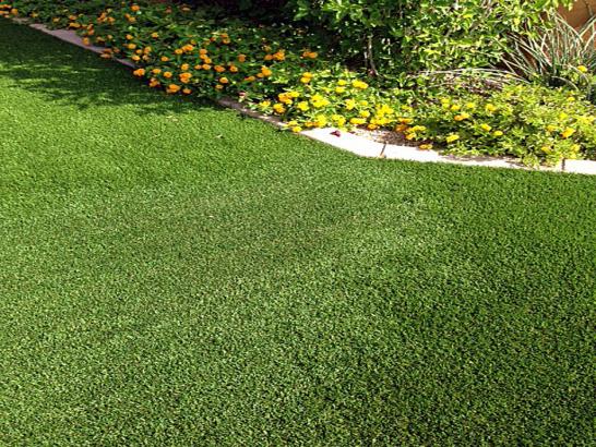 Artificial Grass Photos: Fake Grass Rolling Hills California Lawn  Front Yard