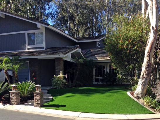 Artificial Grass Photos: Fake Grass Aliso Viejo California Lawn  Front Yard