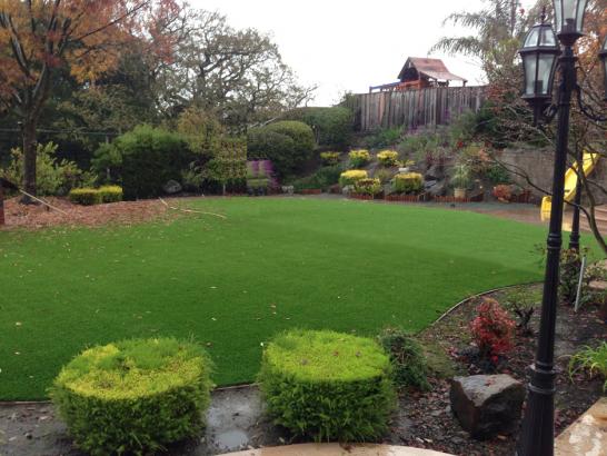 Artificial Grass Photos: Artificial Grass Palos Verdes Estates California Lawn  Backyard