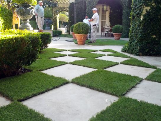 Artificial Grass Photos: Artificial Grass Orange California  Landscape  Pavers