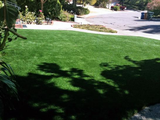 Artificial Grass Photos: Fake Grass Irwindale California Lawn  Front Yard