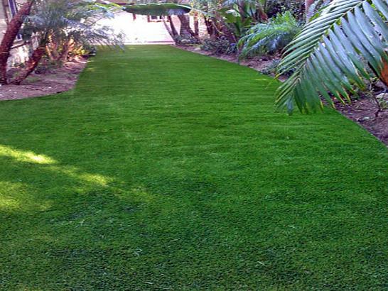 Artificial Grass Photos: Synthetic Grass Corona California Lawn  Yard