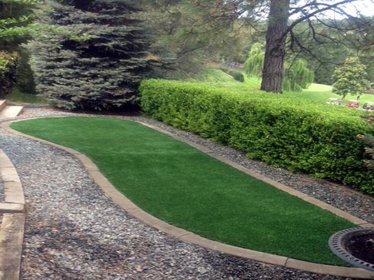 Artificial Grass Photos: Artificial Grass Anaheim California  Landscape