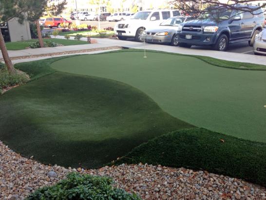 Artificial Grass Photos: Golf Putting Greens Signal Hill California Fake Turf  Landscape