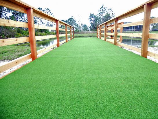 Artificial Grass Photos: Artificial Pet Grass South San Gabriel California for Dogs