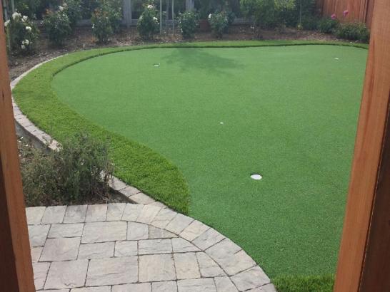 Artificial Grass Photos: Putting Greens La Palma California Artificial Turf  Yard