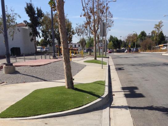 Artificial Grass Photos: Synthetic Turf Yorba Linda California  Landscape  Landscape