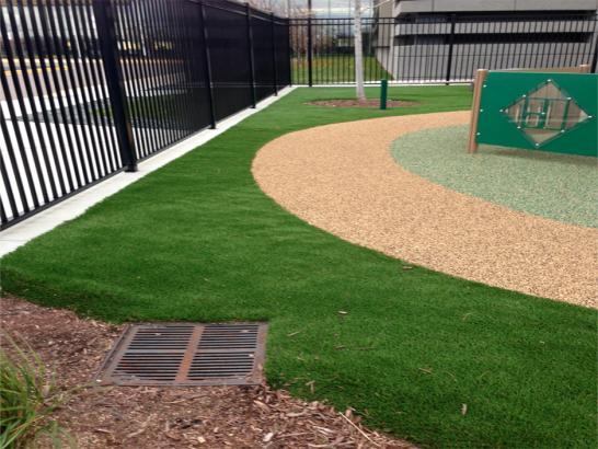 Artificial Grass Photos: Synthetic Grass South Gate California  Kids Safe  Landscape