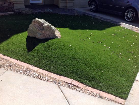 Artificial Grass Photos: Artificial Turf Monrovia California  Landscape