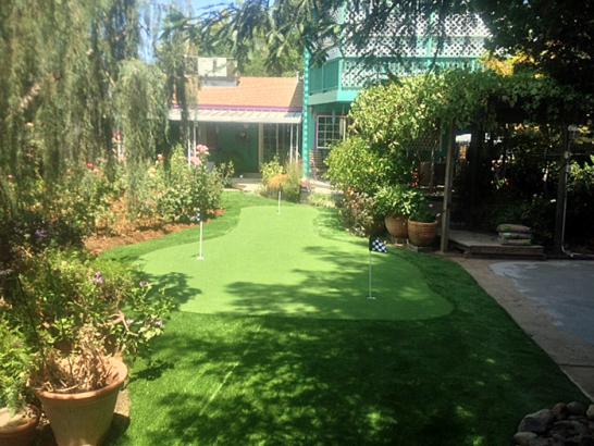 Artificial Grass Photos: Synthetic Turf San Pedro California Lawn