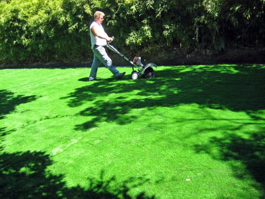 Artificial Grass Photos: Fake Grass La Puente California  Landscape  Backyard