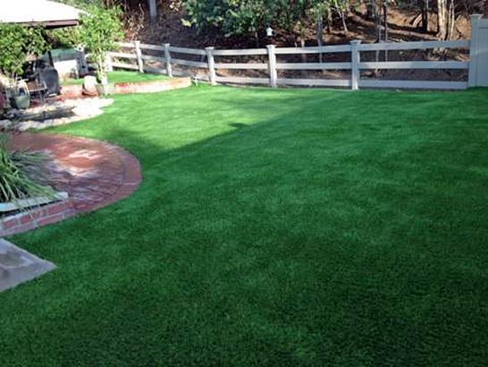 Artificial Grass Photos: Synthetic Pet Grass Downey California for Dogs  Backyard