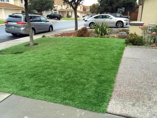 Artificial Grass Photos: Artificial Grass Norco California  Landscape  Front Yard