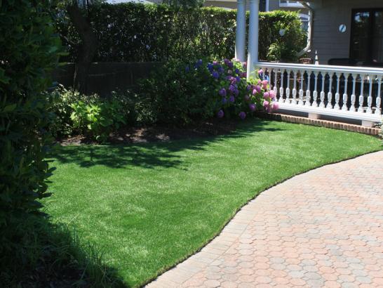 Artificial Grass Photos: Synthetic Pet Grass Culver City California Installation  Front