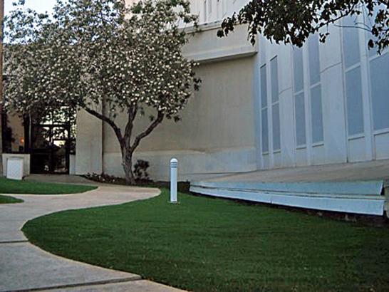 Artificial Grass Photos: Fake Turf Hermosa Beach California Lawn  Front Yard