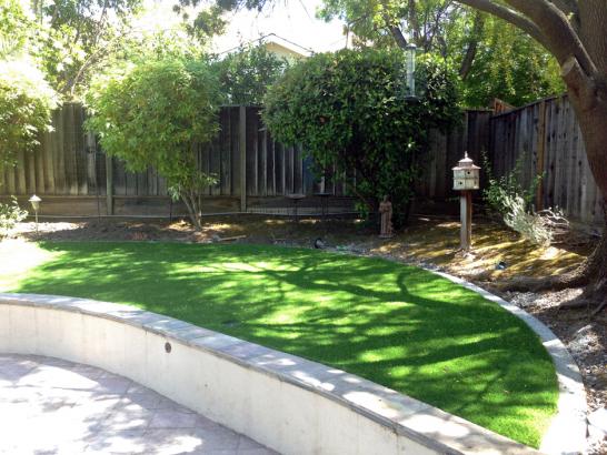 Artificial Grass Photos: Artificial Grass Hawaiian Gardens California Lawn  Landscape