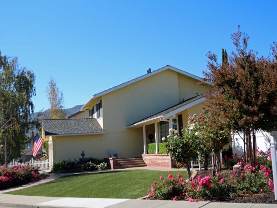 Artificial Grass Photos: Synthetic Grass Ontario California Lawn  Front Yard