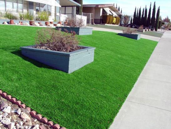Artificial Grass Photos: Synthetic Grass Santa Paula California Lawn  Front Yard