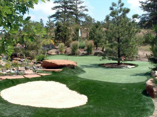 Artificial Grass Photos: Golf Putting Greens Anaheim California Synthetic Grass  Backyard