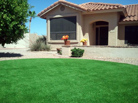 Artificial Grass Photos: Synthetic Grass San Fernando California  Landscape  Front