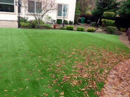 Artificial Grass Photos: Fake Grass Diamond Bar California  Landscape  Backyard