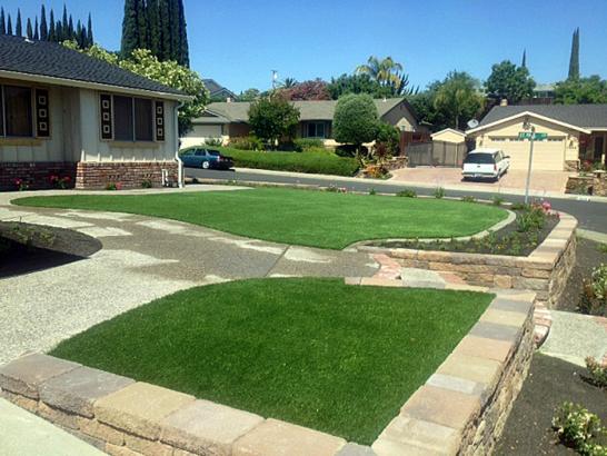 Artificial Grass Photos: Synthetic Grass Seal Beach California  Landscape