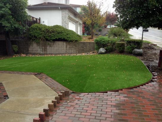 Artificial Grass Photos: Artificial Turf East La Mirada California Lawn  Yard