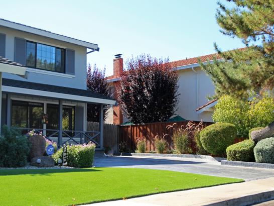 Artificial Grass Photos: Synthetic Grass Vincent California  Landscape  Front Yard