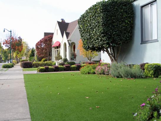 Artificial Grass Photos: Fake Grass Quartz Hill California Lawn  Front Yard