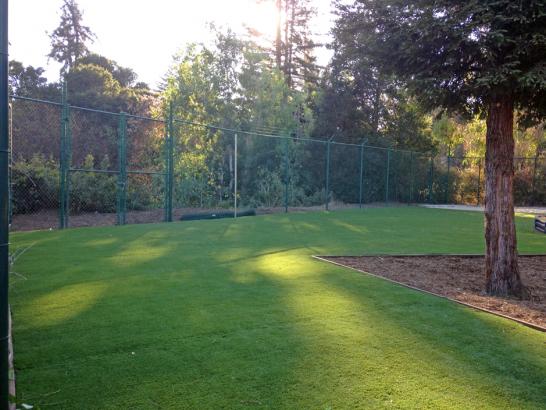 Artificial Grass Photos: Artificial Grass North Glendale California Playgrounds  Recreational