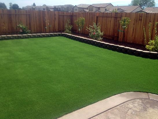 Artificial Grass Photos: Artificial Turf Brea California Lawn  Backyard