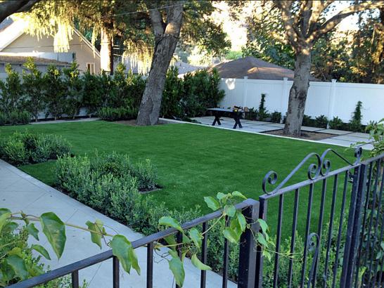 Artificial Grass Photos: Artificial Turf Mira Loma California Lawn  Front Yard