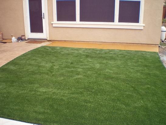 Artificial Grass Photos: Synthetic Turf Piru California  Landscape  Yard