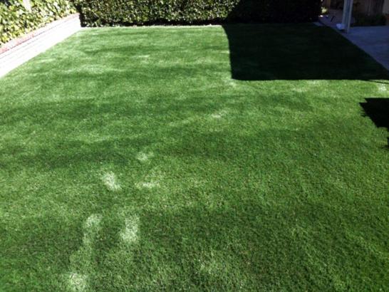 Artificial Grass Photos: Fake Pet Grass West Athens California for Dogs  Backyard