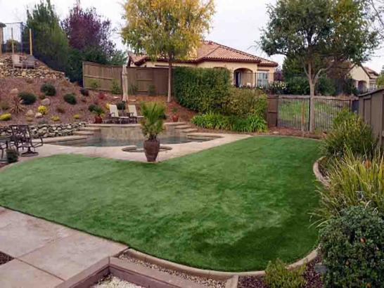 Artificial Grass Photos: Synthetic Turf Phelan California Lawn  Yard