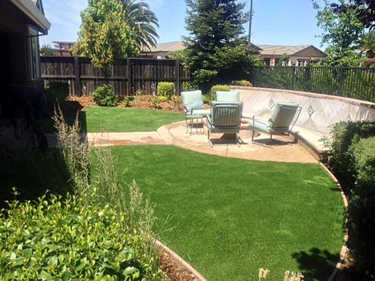 Artificial Grass Photos: Fake Grass Las Flores California  Landscape  Backyard