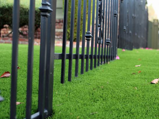 Artificial Grass Photos: Fake Turf Coto De Caza California  Landscape  Front Yard