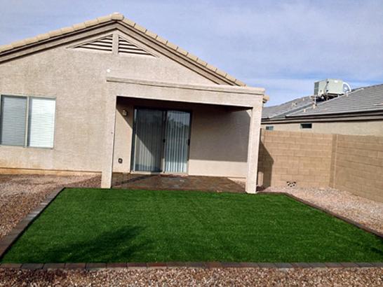 Artificial Grass Photos: Artificial Pet Grass Hawthorne California for Dogs  Yard