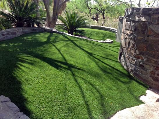 Artificial Grass Photos: Fake Pet Grass East Pasadena California Installation