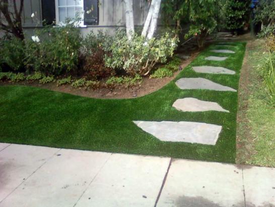 Artificial Grass Photos: Artificial Grass Topanga California  Landscape  Pavers Front
